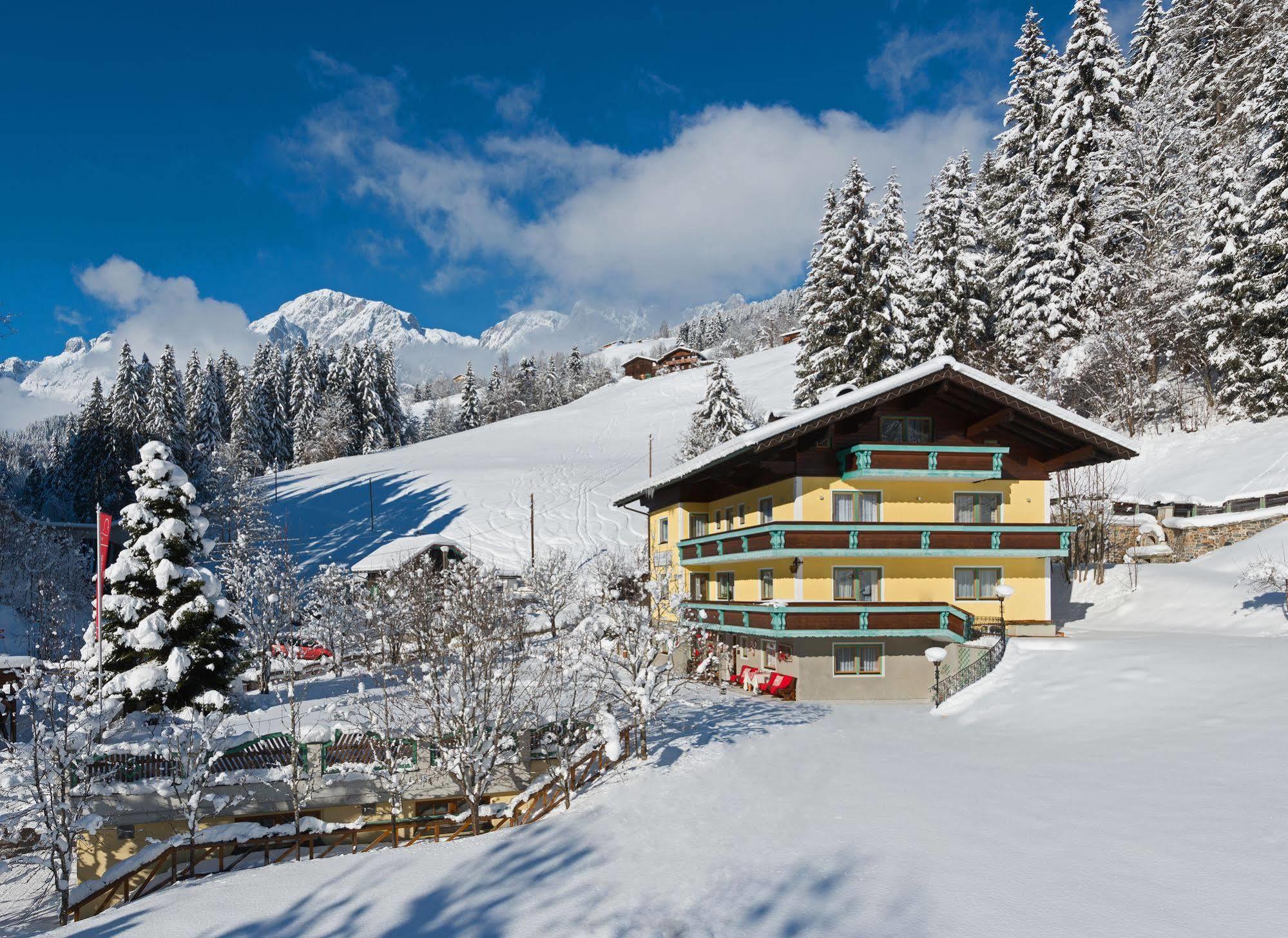 Bed and Breakfast Haus Elisabeth Мюльбах Экстерьер фото